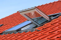 Neames Forstal roof window